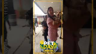 Com as Aumigas no PetDay da Cervejaria Madalena. #cachorros #cachorrofeliz #video360