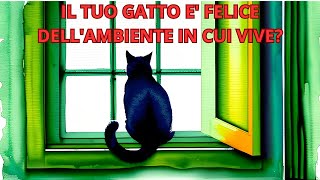 Gatti sereni e felici: come trasformare la casa in un'oasi di relax per il tuo amico a quattro zampe