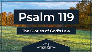 Psalm 119 (NRSV) - The Glories of God’s Law (Audio Bible)