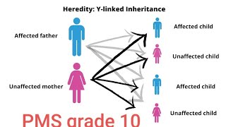 What is inheritance | Heredity, Genetics in biology PMS CHD GRADES 10