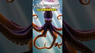 ¿Los pulpos son alienígenas? 🐙 #pulpos #pulpo #aliens #oceano #extraterrestre #viral