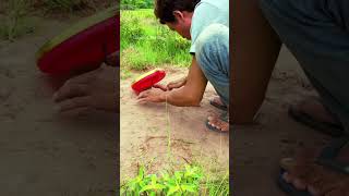 shorts Channel " Amazing Bird Trap create Box New