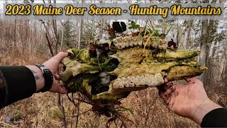 2023 Maine Deer Season - Nov 17th