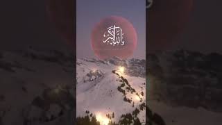 مقاطع قصيرة حالات وتساب انستا