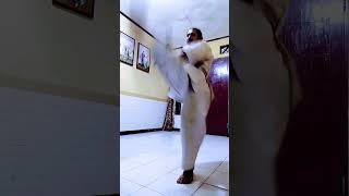 nunchaku style kata seipai#shortvideo