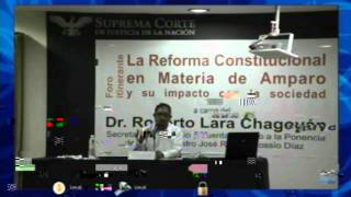 La reforma constitucional en materia de amparo 15