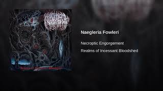 Necroptic Engorgement - Naegleria Fowleri