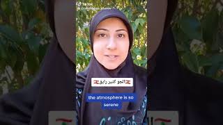 how to say in Lebanese Arabic "the atmosphere is so serene"#learnlevantinearabic #lebanesetigermum