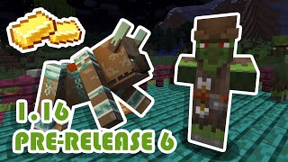 Zombie Villagers And Piglin Fixes! (Minecraft 1.16 Pre-Release 6)