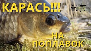 Раздача КАРАСЯ на утренней зорьке! Не рыбалка, а мечта !