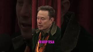 The Struggles and Triumphs of Tesla  A Story of Survival and Innovation