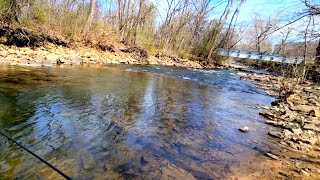 Virginia TROUT SLAM