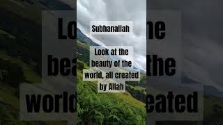 #islam #beautifulrecitation #peace #nature