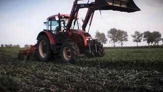 Talerzowanie nowym nabytkiem | Zetor | Agro Tom | HD |