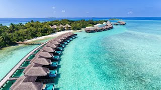 Maldives: Beauty of the Maldives at Sheraton Full Moon Resort & Spa 5*