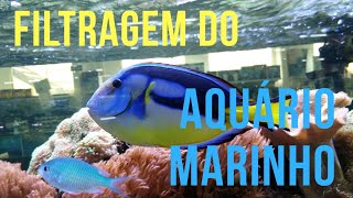 Aquário marinho de cair o queixo - Filtragem do aquário Marinho