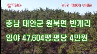 [딸기146]원북면 반계리 임야 47,604평 매매.딸기공인중개사 041.662.0880