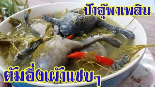 ต้มอึ่งแซบๆ | อาหารอีสานพื้นบ้าน | อาหารอีสานบ้านๆ | ป้าอุ๊พาเพลิน