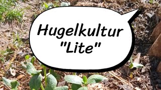 Hugelkuktur Lite /Winter Vermicompost #hugelkultur