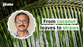 Straws from coconut leaves | Sunbird straws