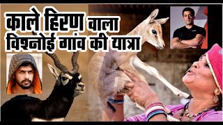 Kala Hiran Wala Village | Black Buck Village | Kankani Gaon Jodhpur | Salman Khan | Lawrence Bishnoi