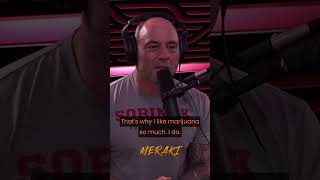 This Is Why Joe Loves Pod #joerogan #shorts