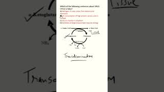 #NEETPG #BIOCHEMISTRY MCQs | Urea cycle