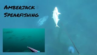 Summer Spearfishing TROPICALS in SOUTH AFRICA 2020