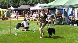 Kopiko (Mudi) Dogshow Warszawa 2011.wmv