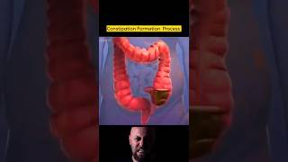 constipation Formation  process | 3D Animation video #shorts#reels #shortsvideo