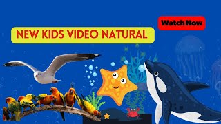 5 Natural Kids Videos That Will Give Your Child a HEAD START in Life | #kidsvideos