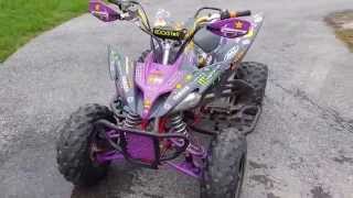 Yamaha Raptor 250