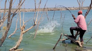 unique Fishing 🎣 8.260.kg. BiG Size Rohu Fishes to Catching Krishna River Fish Hunting