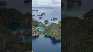 A day exploring Jellyfish Lake | Heart Reef | Remote Indonesia | Sailing Life