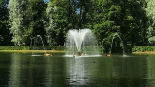 Water Lake summer nature fountain