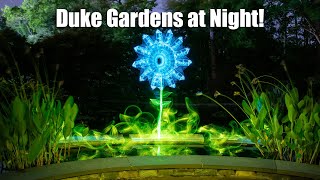 Light Painting in Duke Gardens - VLOG 67