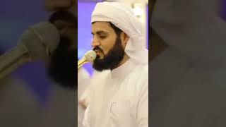 من روائع التلاوات الهادئة 🤍 || #رعد_الكردي