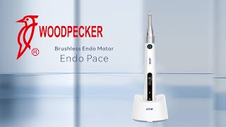 Woodpecker Endo Pace Endomotor