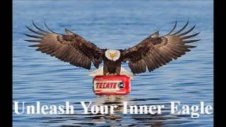 Teacte "Unleash Your Inner Eagle" Commercial