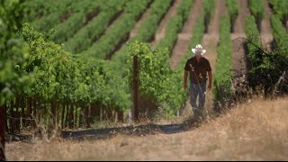 Stag's Leap Wine Cellars - Kirk Grace, Director of Vineyard Operations