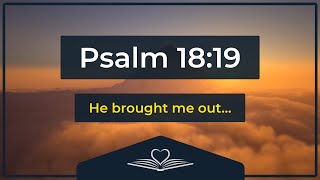 Psalm 18:19 (Audio Bible - NRSV)