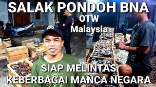 Salak Pondoh Banjarnegara Otw Negeri Jiran Malaysia