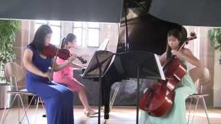 Smetana Piano Trio G minor, Op. 15 2nd Mov.