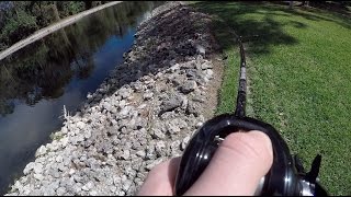 Golf Course Pond Bass Fishing - Naples FL