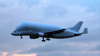 Airbus Industrie Beluga #5 Airbus A300B4-608ST F-GSTF landing at Bremen 09.02.2012