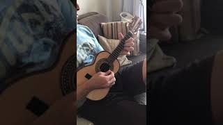 O meu lugar - Madureira - Arlindo Cruz - Cavaquinho