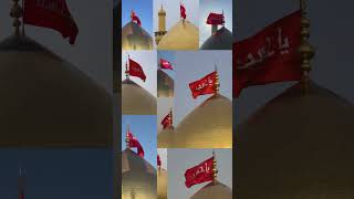 Meri Zindagi Karbala #shiastatus #imamhussain #shia #ytshorts #labbaikyahussain #karbala