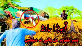 wheat rate today|gandam Rate|توبہ بہت بڑا حادثہ| #viral