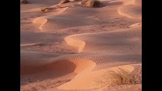 Il Sahara, gioie e dolori della Tunisia