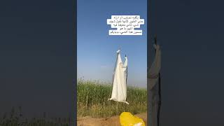 الطير بيأخذ رزقه من المحصول🌾 و كذلك البشر ‏الطيور هذي السنة أقل من الأعوام الماضية بكلام الناس هنا